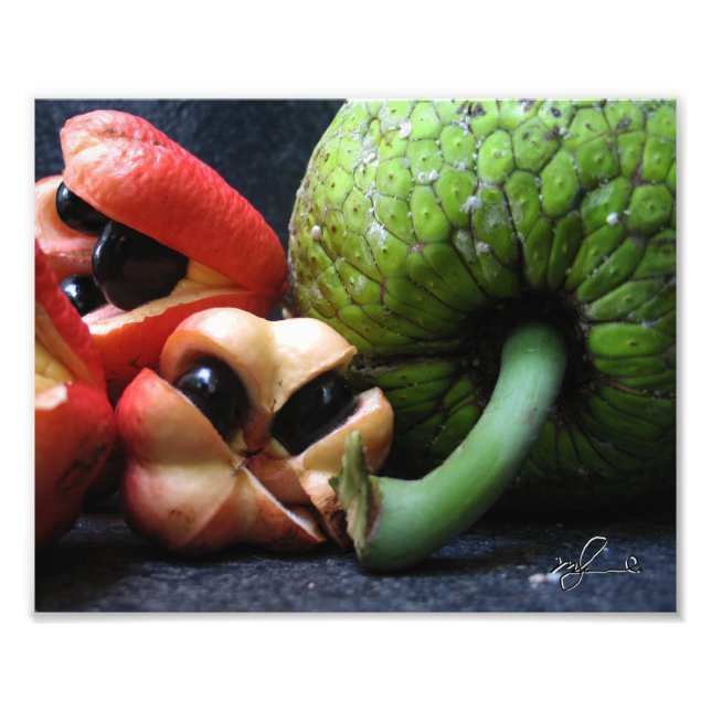 Foto Ackee y Breadfruit (Frente)
