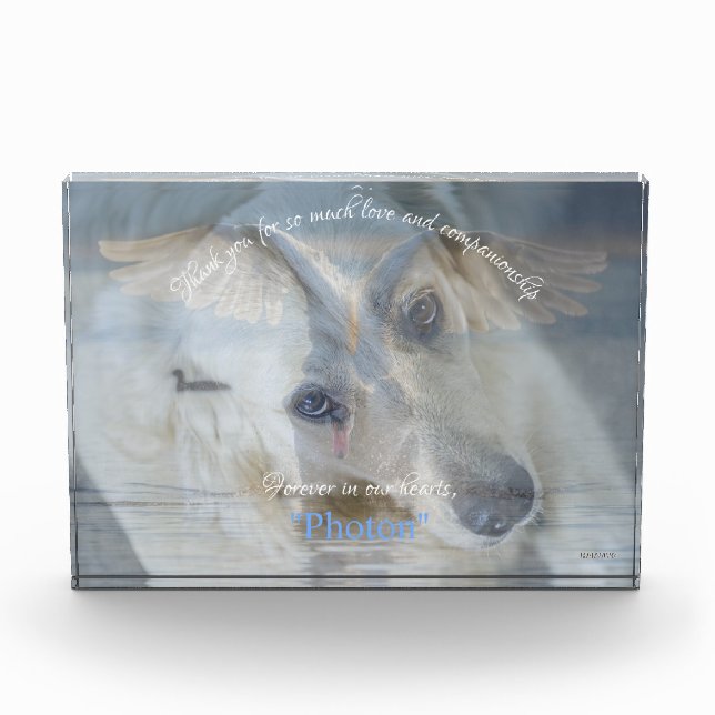 Foto acrílica de imagen transparente en Swan (Anverso)