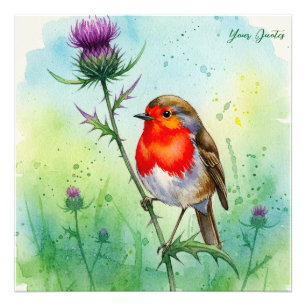 Foto Acuarela botánica de Robin Bird y flor de cardo