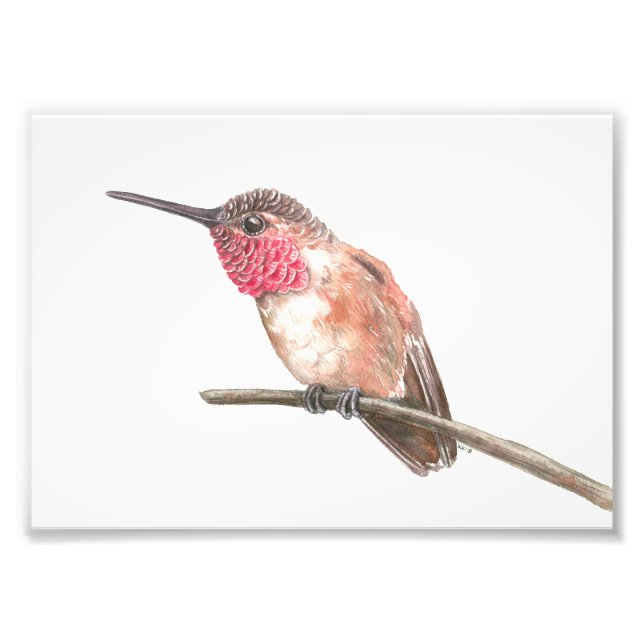 Foto acuarela de colibrí (Frente)