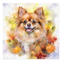 Acuarela de otoño de Pomchi