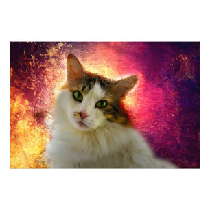 Foto Adorable Cute Calico Cat