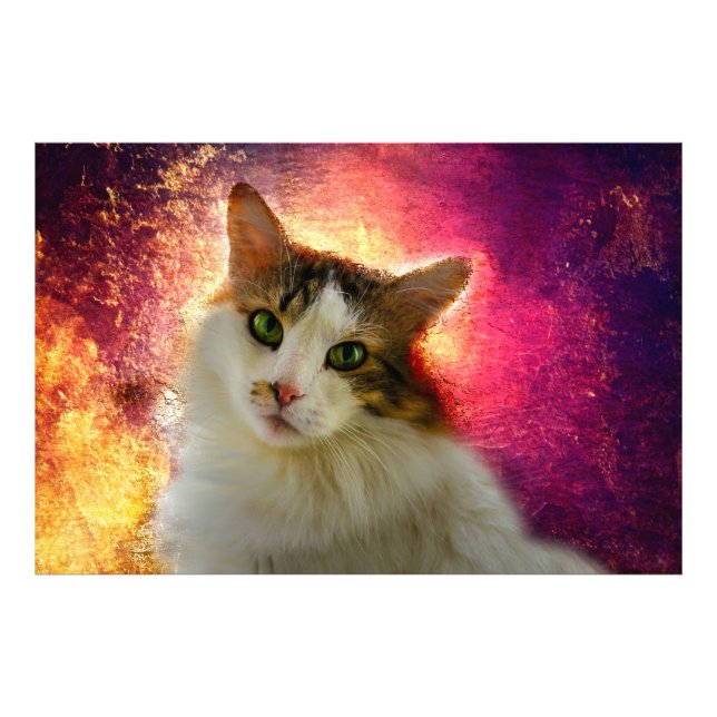 Foto Adorable Cute Calico Cat (Frente)