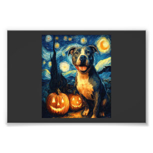 Foto Adorable perro American Staffordshire Terrier Hall