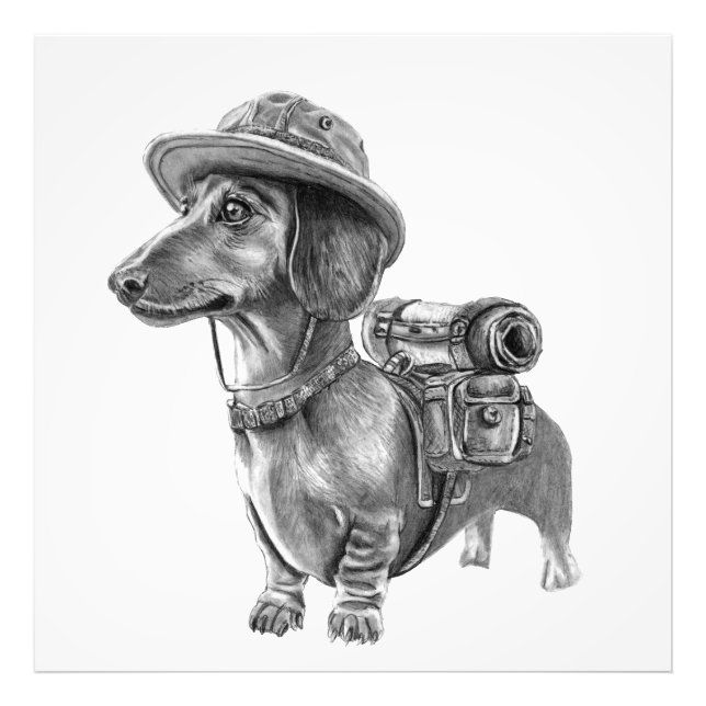 Foto Adventurous dachshund (Frente)