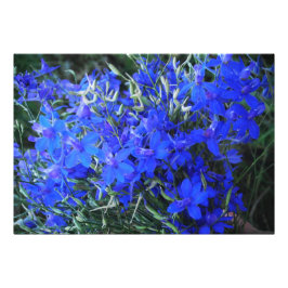 Foto Aestética azul Lobelia floración cottagecore garde
