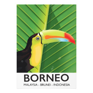 Foto Afiche de viaje de Borneo Toucan