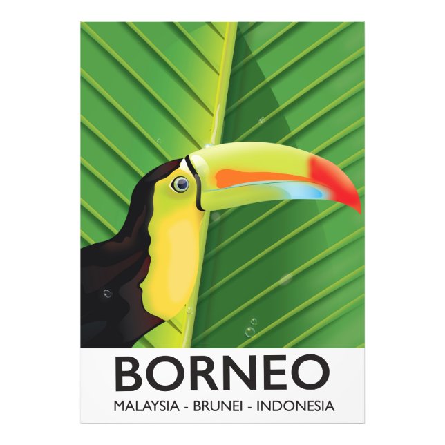 Foto Afiche de viaje de Borneo Toucan (Frente)