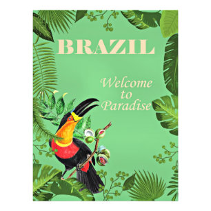 Foto Afiche de viajes de Brasil, Toucan,