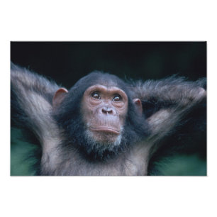 Foto África, África Oriental, Tanzania, Parque Nacional