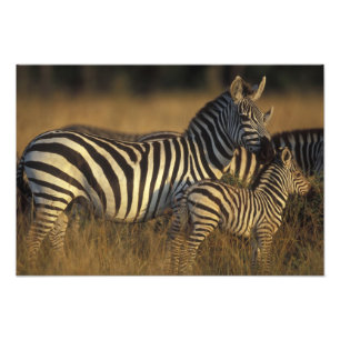 Foto África, Kenia, Reserva de caza Masai Mara. Llanura