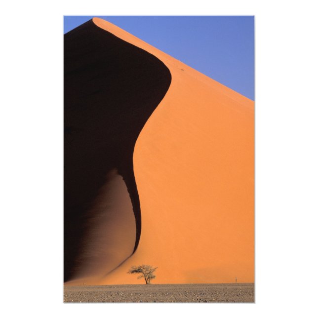 Foto África, Namibia, Luz de la tarde en dunas, (Frente)