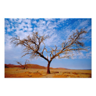 Foto África, Namibia, Parque Nacional Naukluft,