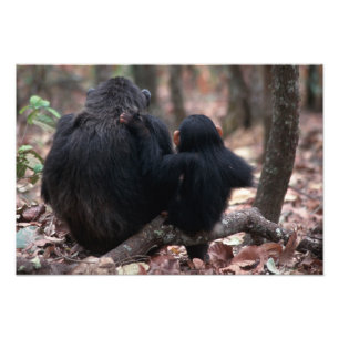 Foto África Oriental, Tanzania