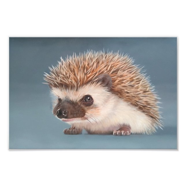 Foto African Pigmy Hedgehog Poster (Frente)
