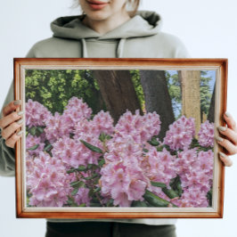 Foto Agradable Rhododendron Floral Rosa