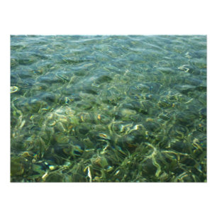 Foto Agua sobre hierba marina en la naturaleza caribeña