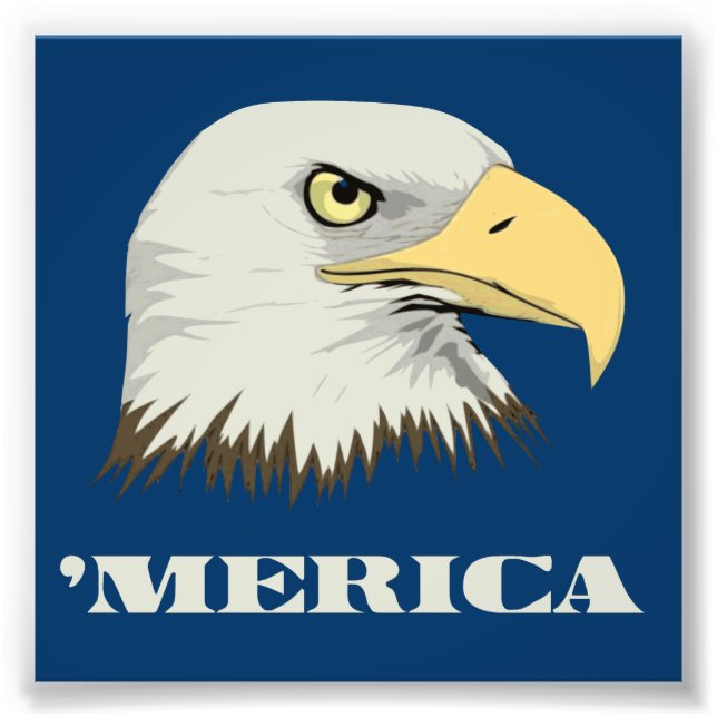 Foto Águila Calva Americana Para Merica (Frente)