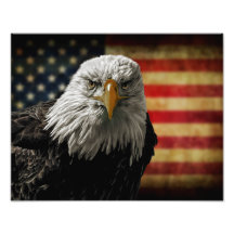 Águila calva americana sobre bandera ondulada