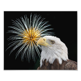Foto Águila calva y fuegos artificiales
