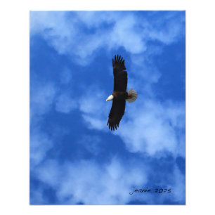Foto Águila en el ala
