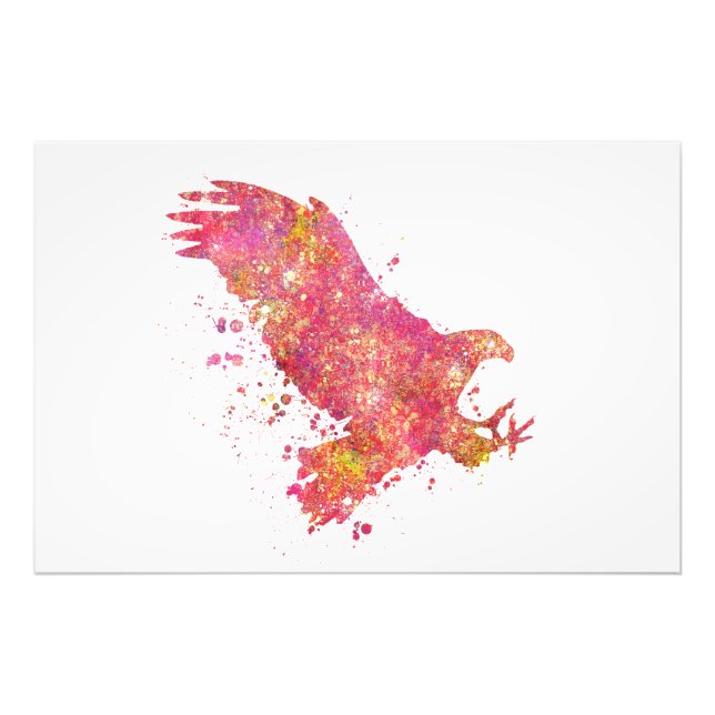 Foto Aigle Oiseaux Forêt Sauvage Nature Monde Terre Vol (Frente)