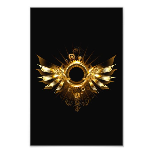 Foto alas de estilo steampunk (Frente)