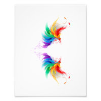 Alas del arco iris fluidas