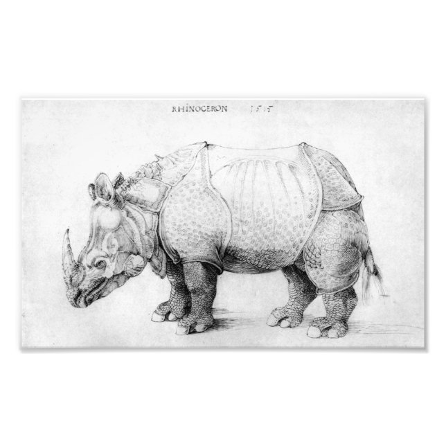 Foto Albrecht Durer Rhinoceros (Frente)