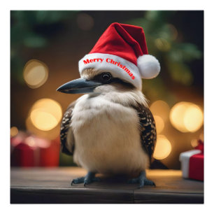 Foto "Alegría de los Navidades de Kookaburras"