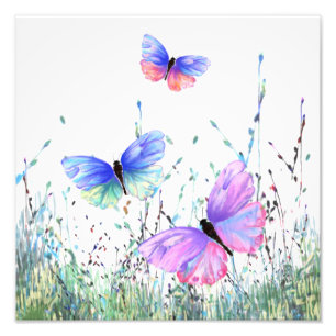 Foto Alegría de primavera - Mariposas coloridas volando