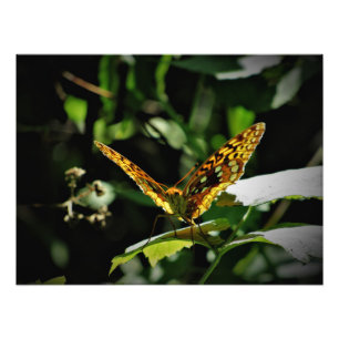 Foto "Alegría excitante"