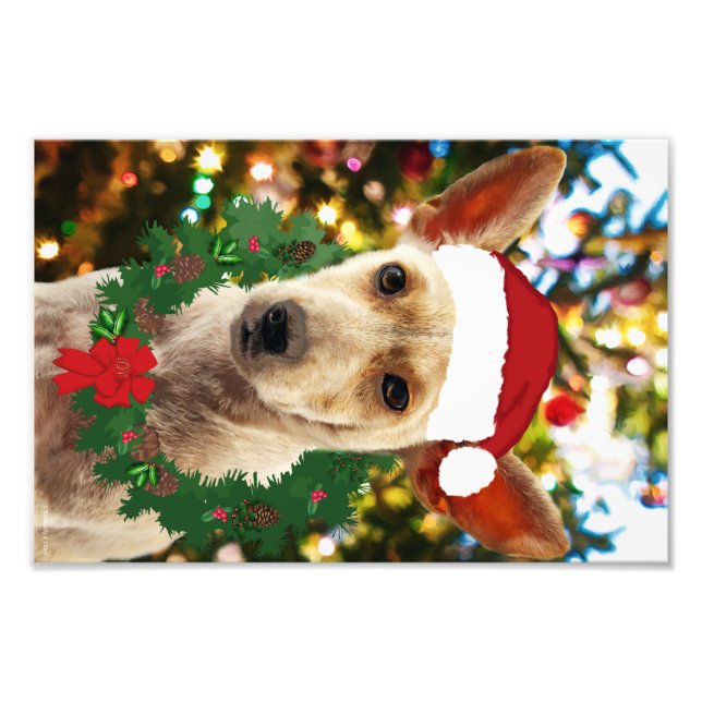 Foto Alegría por el cachorro (Frente)