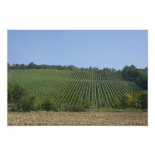 Foto Alemania, Franconia, Rothenburg. Ver a lo largo de