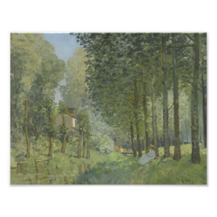 Foto Alfred Sisley - Descansa a lo largo del Stream