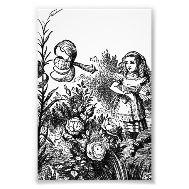Foto Alice habla con flores de jardín (Frente)