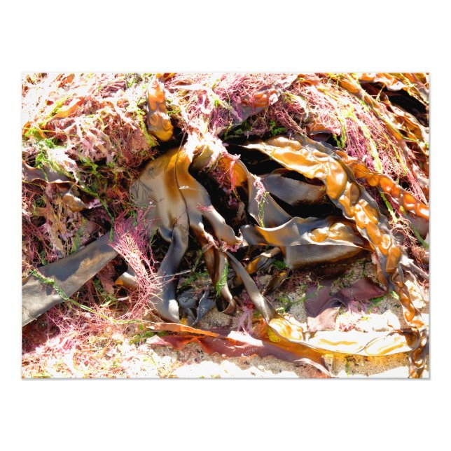 FOTO ALIMENTACIÓN (Frente)