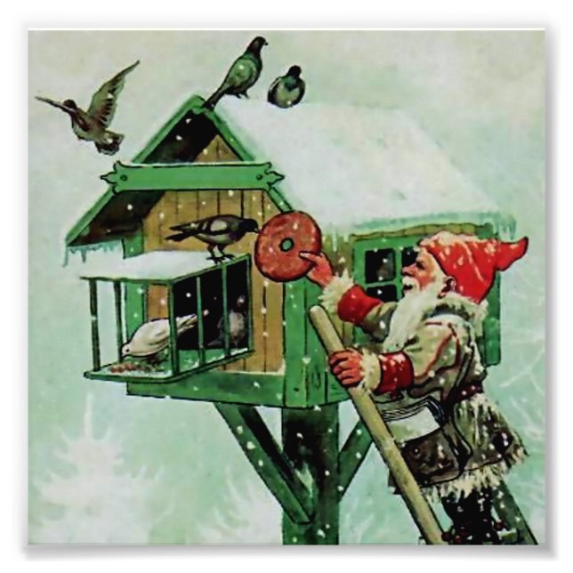 Foto "Alimentando aves invernales" por Jenny Nystrom (Frente)