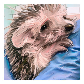 Foto alimentar a un pequeño y huérfano bebé erizo