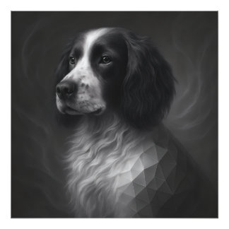 Foto Alma Fiel – Geometría de Springer Spaniel