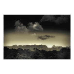 Foto Almacenado en la nube