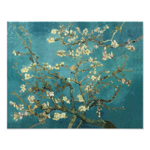 Foto Almendro en Flor - Van Gogh