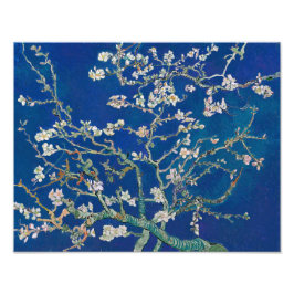 Foto Almond Bloom (añil) | Van Gogh |