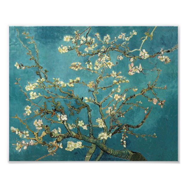 Foto Almond Blossom (Frente)