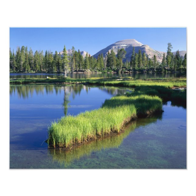 Foto ALTO UINTAS WILDERNESS, UT, EE. UU., penisula, (Frente)