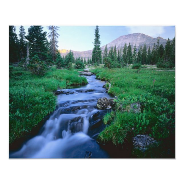 Foto ALTO UINTAS WILDERNESS, UTAH. Stillwater Fork (Frente)