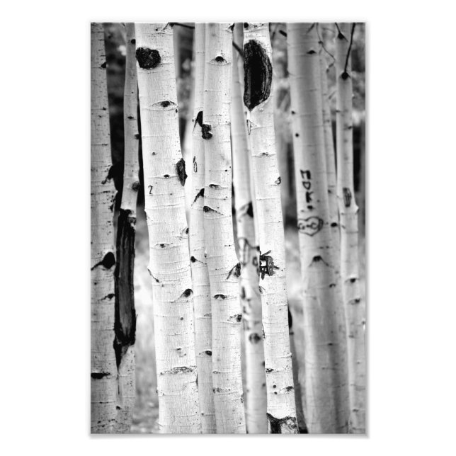 Foto Alzar el Aspen (Frente)