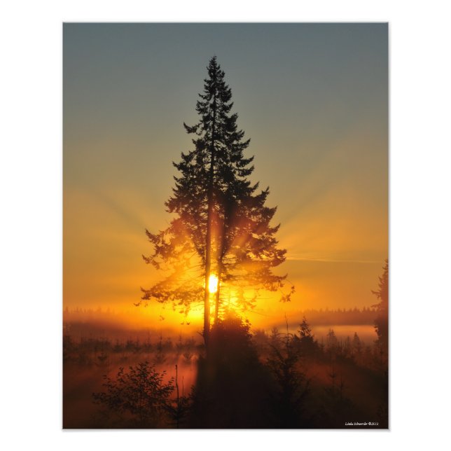 Foto Amanecer 16X20 en el Gran Noroeste (Frente)