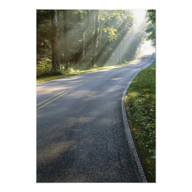 Foto Amanecer a través de la niebla junto al río Verde (Frente)