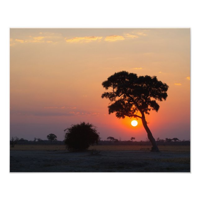 Foto Amanecer africano (Frente)
